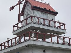 -在海一方公园