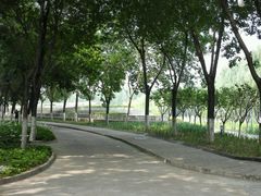 -北京国家会计学院