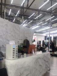 -BOF HAIR BY HONTO