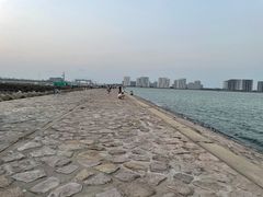 -奉贤海滩