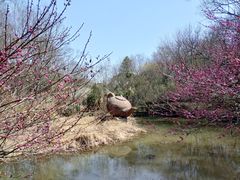 -南京市江宁方山
