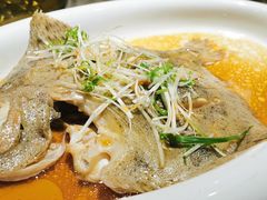 多宝鱼-保定会馆(红旗大街店)