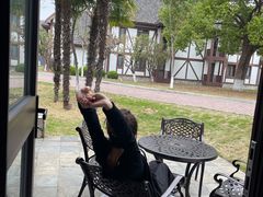 -太阳岛度假酒店