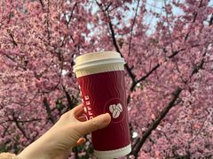 -COSTA COFFEE(上海虹口公园店)