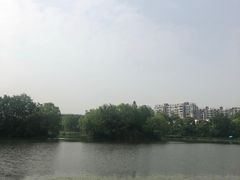 -新江湾城公园