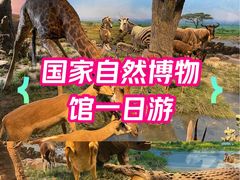-国家自然博物馆
