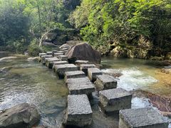 -广州白江湖森林公园