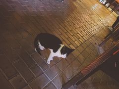 -Big Bamboo 大竹子体育主题餐厅(虹梅路店)