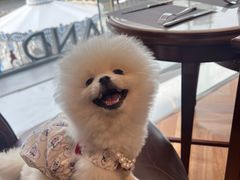-Angelina安吉丽娜(恒隆广场店)