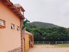 -青岛森林野生动物世界