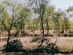 -西青郊野公园