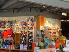 -爪吧宠物乐园 (温榆河示范区店)