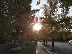 -四川大学(江安校区)