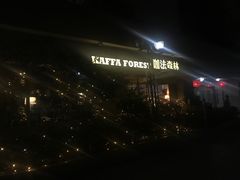 -咖法森林·咖啡  酒吧(天河店)