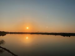 -贡湖湾湿地公园