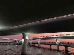 -演武大桥观景平台