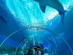 -新加坡海洋生态馆