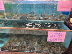 水产区-荔城生鲜盛宴(番禺旗舰店)