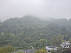 -龙井村