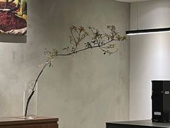 -野鸽子咖啡(中航店)