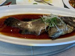 -太湖饭店玉兰厅(自助餐厅)