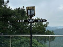-铁山坪森林公园