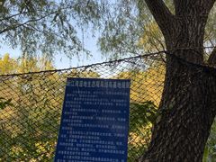 -新江湾城公园