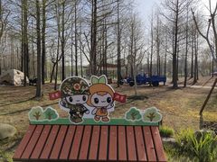 -上海长兴岛郊野公园