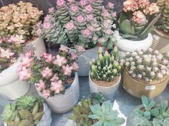-Olé精品超市(广州太古汇店)