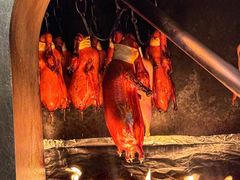 -秀儿四九城·新京菜(亚运村鸟巢店)