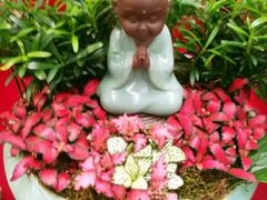 -秦美花卉(天朗·莱茵小城2期店)