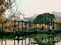 -长兴太湖图影湿地文化园