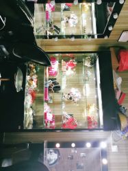 点击看大图 -摩玛婚纱摄影(杭州店)