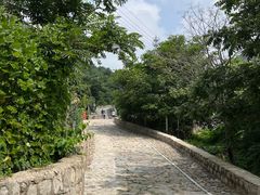 -大岭沟猕猴桃谷风景区