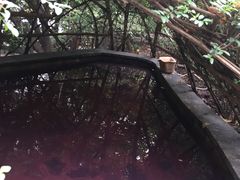 -重庆南山海昌汤都