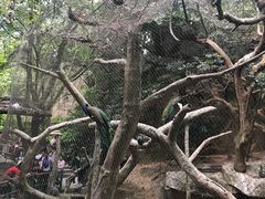 -青青世界