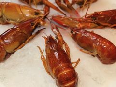 -红盔甲·小龙虾(天钥桥店)