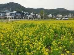 -东钱湖旅游度假区