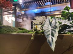 -鲜潭蒸汽石锅鱼(五道口购物中心店)