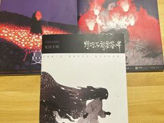 -剧狐剧本杀(徐汇1号店)