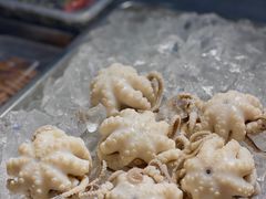 -铭聚章鱼土笋冻(松柏店)