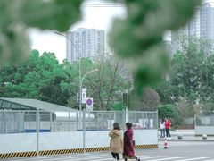 -大龙山(地铁站)