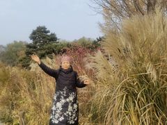 -北京植物园-展览温室