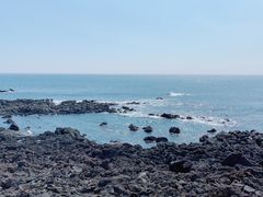 -涉地可支