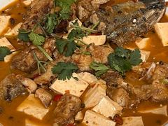 -煲来饱去冷水鱼