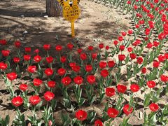 -长春公园(普阳街道)