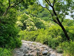 -阳台山自然风景区