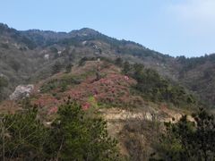 -木兰云雾山