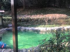 -山湖温泉