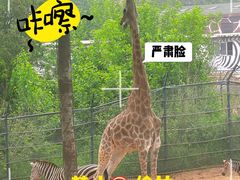 -大连森林动物园